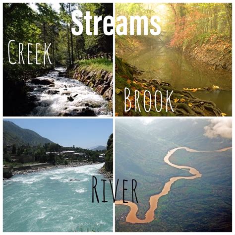 creek river stream|difference between river and stream.